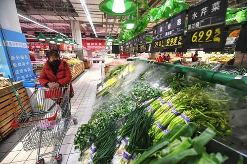 苗木價(jià)格迎來(lái)下行拐點(diǎn)，市場(chǎng)機(jī)遇與挑戰(zhàn)并存